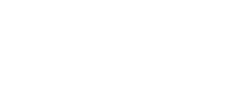 Camilo Lezcano · Asesoría de Proyectos